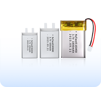 Polymer lithium-ion batteries